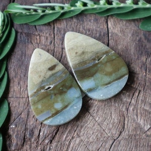 Opalized Petrified Wood Pairs , Opalized Petrified Wood Cabochon , Opalized Wood For Jewelry Earrings , Flatback Stone All Polished, Natural