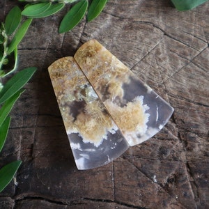 Par de madeira opalizada com musgo natural