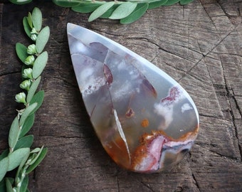 Cobre de madeira opalizada indonésia