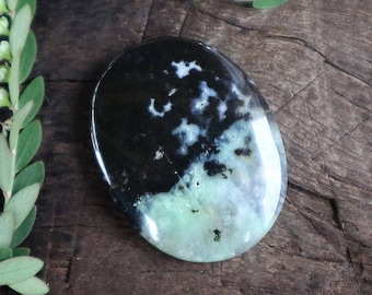 Legno pietrificato opalizzato