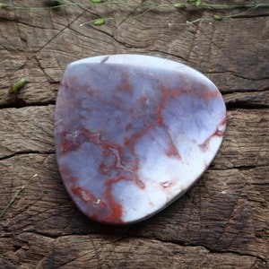 Opalized wood cabochon