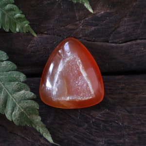 以下が含まれることがあります： 三角形の形をした、磨かれたオレンジレッドの宝石。石は、結晶構造を持つジオードのような内部を持っています。宝石は、緑のシダの葉を持つ暗い木製の背景に配置されています。