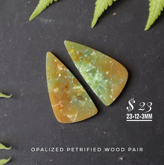 Opalized shop wood jewelry