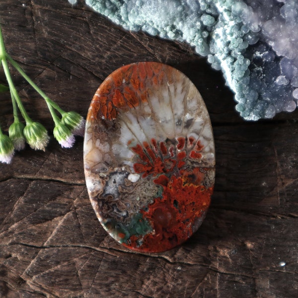 Plume Chrysocolla Wood Copper, Multicolor Gemstone Meanings,Minerals Cabochons ,Loose Gemstone,Matching For Make Jewelry
