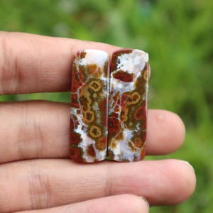 May include: Two polished gemstones with a rectangular shape. The stones display a mix of colors, including red, brown, white, and yellow, with a unique pattern of spots and swirls. The gemstones are held in a hand against a blurred green background.
