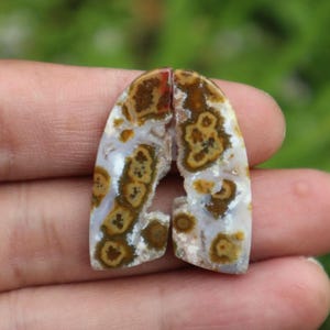 May include: Two polished gemstone halves with a matching pattern. The stones display a mix of white, brown, and tan patterns with a unique, organic design. The gemstones are held in a hand against a blurred green background.