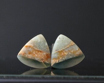 Brilliant Petrified Wood Gemstone 55X29X5 Big Fancy Shape Jewelry Making Stone Beautiful Natural Cabochon