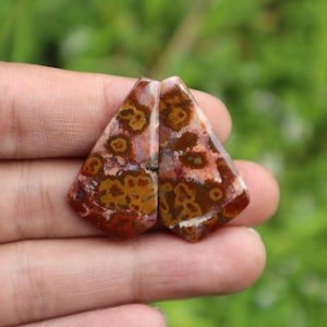May include: Two polished gemstone cabochons with a distinctive pattern. The stones display a mix of colours, including red, brown, yellow, and white, with a speckled and spotted design. The cabochons are held in a hand against a blurred green background.