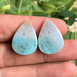 May include: Two teardrop-shaped gemstones with a light blue and white color scheme. The stones have a speckled appearance with hints of green. The gemstones are held in a hand, with green foliage in the background.