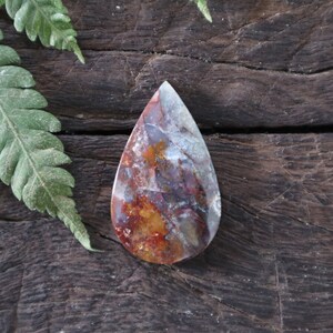 May include: A polished, teardrop-shaped gemstone with a blend of red, orange, and white hues, displayed on a dark wooden surface. Green fern leaves frame the stone. The gemstone's colours are vibrant.
