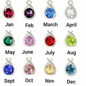 May include: Twelve silver charms with different colored gemstones, each representing a month of the year. January is red, February is purple, March is blue, April is white, May is green, June is pink, July is red, August is green, September is blue, October is pink, November is yellow, and December is blue.