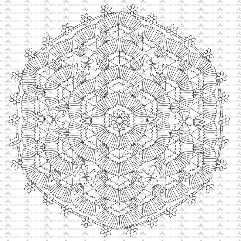 Download Mandala Svg Mandala Rectangle Coloring Pages Adult Etsy