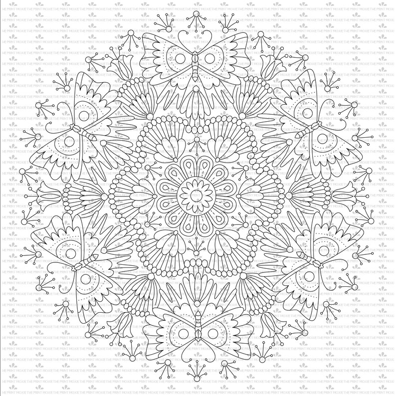 Download Mandala Svg Mandala Rectangle Coloring Pages Adult Etsy