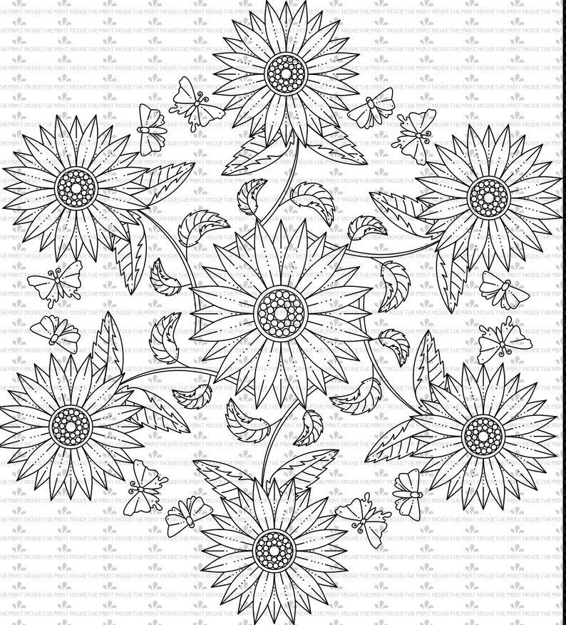 Download Mandala Svg Mandala Rectangle Coloring Pages Adult Etsy