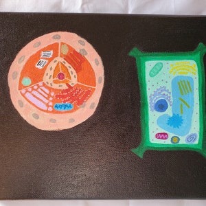 Painting of Animal and Plant Cells