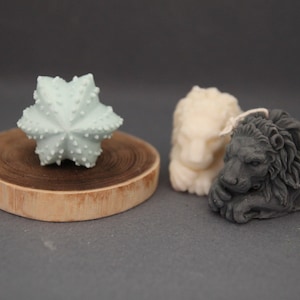 Cactus 3D Handmade Silicone Mold, Candle Wax Soap Plaster Resin Polymer Clay Candy Chocolate Cake