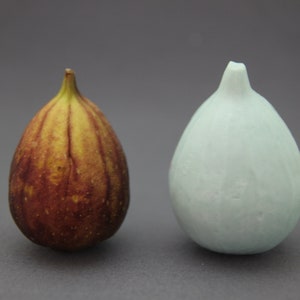 Może przedstawiać: Brązowa figa z zieloną łodygą i jasnoniebieska ceramiczna figa obok.
