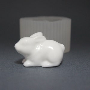Rabbit Handmade Silicone Mold,Candle Wax Soap Plaster Resin Polymer Clay Candy Chocolate Cake