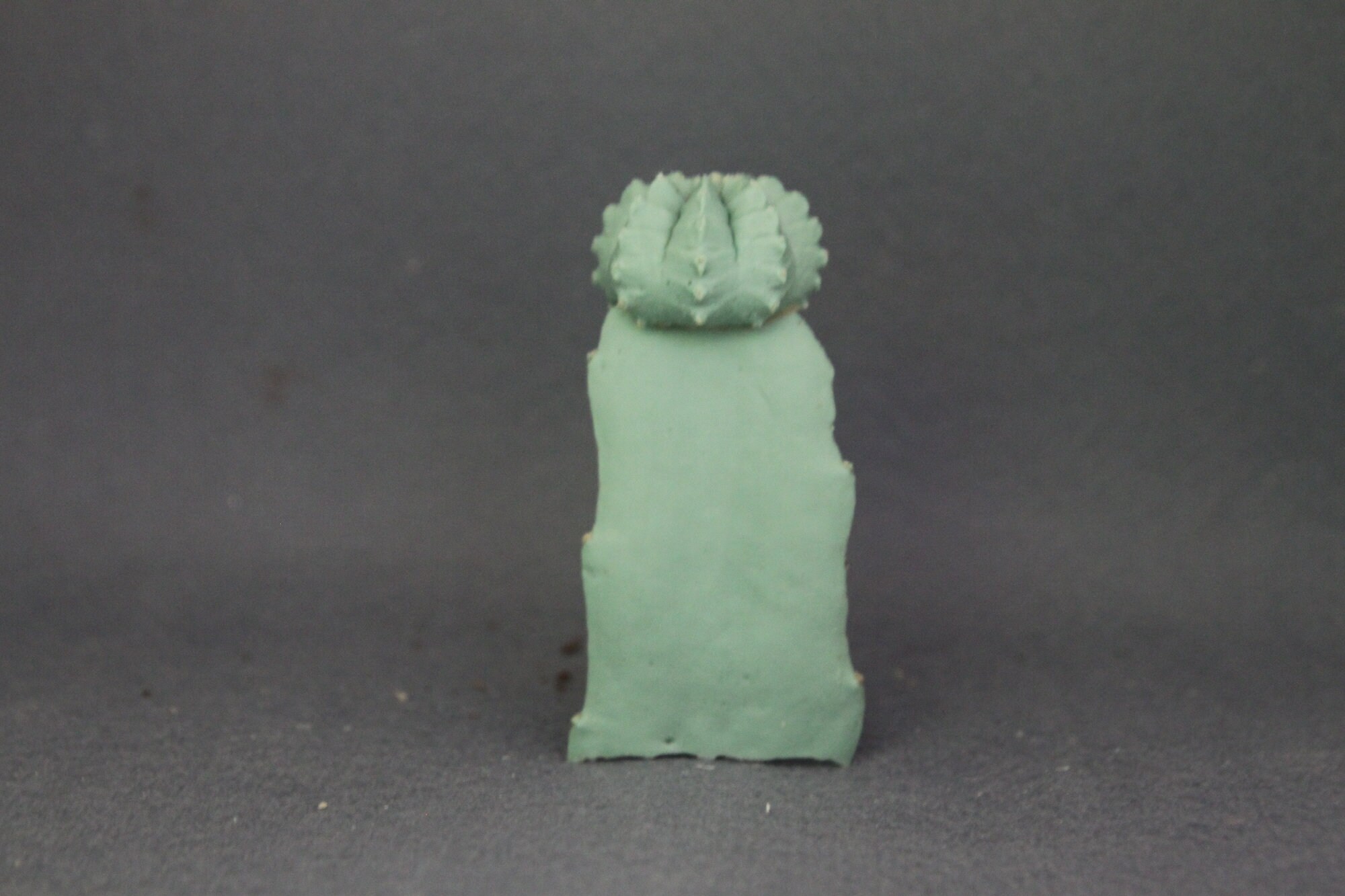 Cactus Handmade Silicone Mold, Candle Wax Soap Plaster Resin