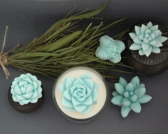 May include: A set of four teal blue succulent candles. The candles are in various shapes and sizes, and are arranged on a grey surface with a sprig of green foliage.