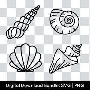 seashell bundle PNG SVG, commercial use instant digital download, summer svg file for cricut, silhouette cut file, beach sea shell clipart