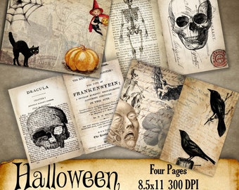 May include: A set of eight digital scrapbook papers featuring Halloween themes. The papers include images of a black cat, a pumpkin, a skeleton, a skull, a crow, a witch, and a book with the title "Dracula".