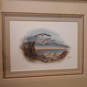 Seagulls Over Sand Dunes Framed Lithograph by Don Balke Original Signature 1988