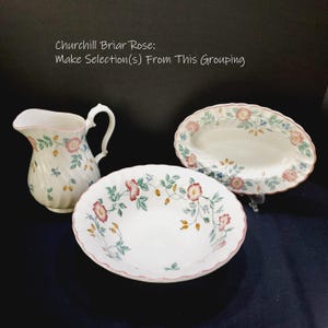 英国製 廃盤希少品  Briar Rose ディナープレート China Briar Rose | eBay