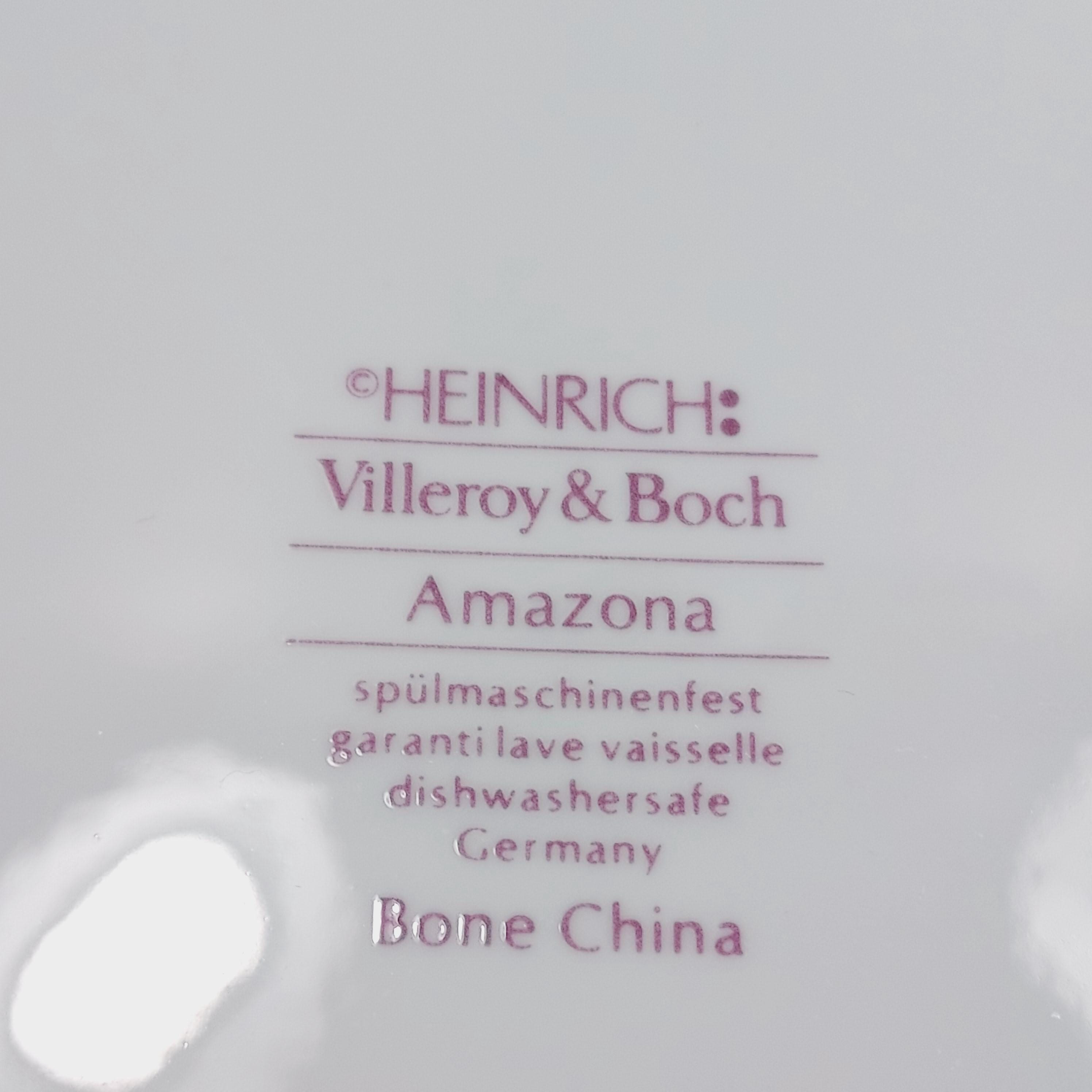 Villeroy and Boch Amazona Replacement Dishes Heinrich West Germany