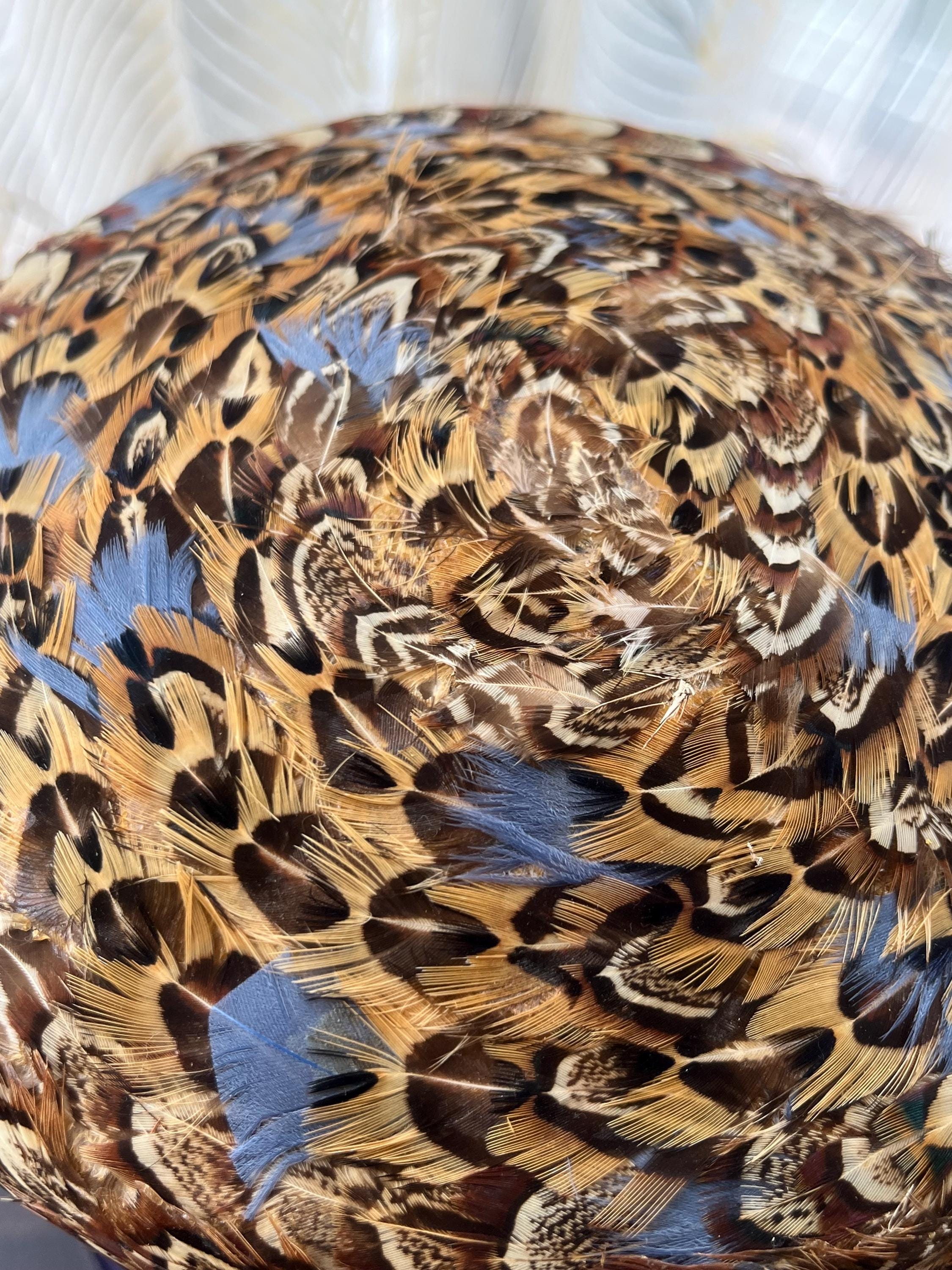 Vintage Mid Century Pheasant Feather Pillbox Hat Pasadena Hats Feather Pillbox 1940s Vintage Hats for Women for sale | eBay main image 3