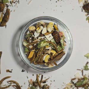 May include: A clear glass bowl filled with a mix of dried insects, seeds, and vegetables. The bowl is centered on a white surface, with scattered ingredients around the edges. The ingredients include brown mealworms, green pieces, and yellow corn.