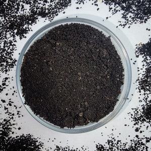 Worm Casting | Hermit Crab Food | Organic