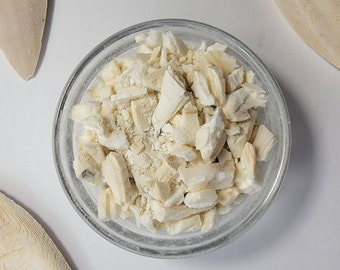 Cuttlebone Fragments | Hermit Crab Food | Calcium |