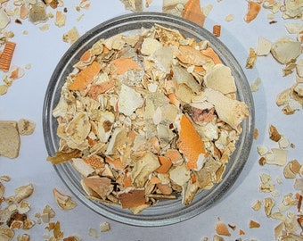 Crab and Lobster Shell | Hermit Crab Food | Calcium |