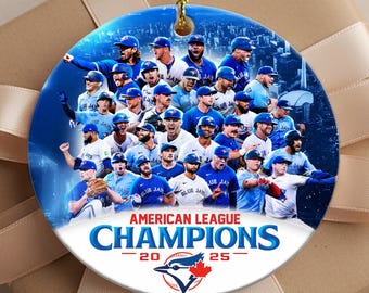 ヴィンテージ 90年代 トロント ブルージェイズ MLB ジッパー