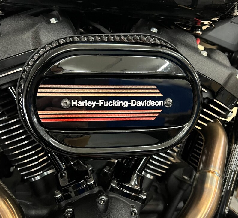 Harley 114 M8 Ventilator Air Cleaner Insert Retro HFD AMF Etsy