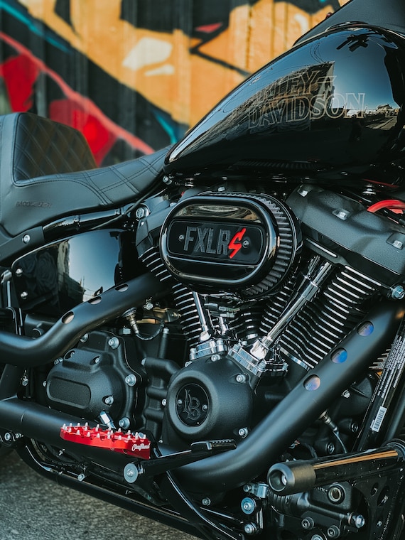ハーレー 114 M8 エアクリーナー インサート - FXLRS カット ハーレー 114 M8 エアクリーナー インサート - FXLRS カット