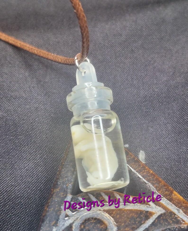 Opossum Joey Wet Specimen Necklaces Oddities Jewelry Etsy