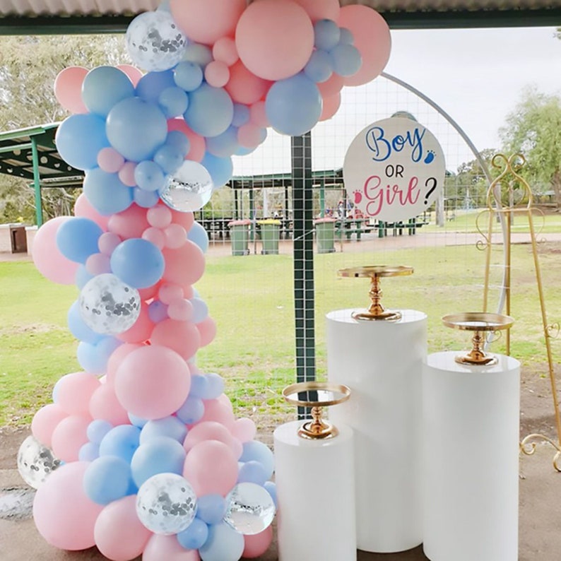 16ft Pastel Gender Reveal Balloon Garland Kit Silver Blue - Etsy Australia