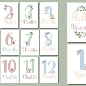 Cartes bébé étape importante, marqueurs mensuels, cadeau pour les nouveaux parents, petite fille, accessoire photo nouveau-né, nouvelle maman, premier anniversaire souvenir