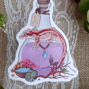 Alchemy Assistant: Gargoyle Gecko