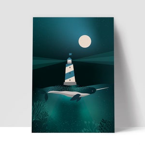 Narval Póster
