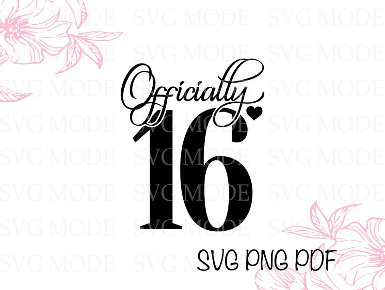 Puede incluir: Dise&ntilde;o gr&aacute;fico en blanco y negro con el texto "Officially 16" y un peque&ntilde;o coraz&oacute;n.
