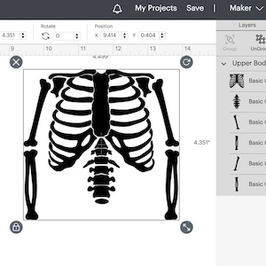May include: Black and white silhouette of a skeleton's upper body, including the rib cage, spine, and upper arms. The image is labelled "Upper Body Svg" and is divided into six layers, each labelled "Basic Cut".