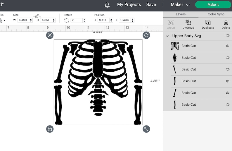 May include: Black and white silhouette of a skeleton's upper body, including the rib cage, spine, and upper arms. The image is labelled "Upper Body Svg" and is divided into six layers, each labelled "Basic Cut".