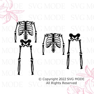 May include: Three black skeleton figures, one full skeleton with legs and arms, one skeleton torso, and one skeleton pelvis and legs. The skeletons are isolated on a white background.