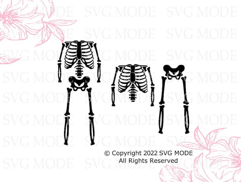 May include: Three black skeleton figures, one full skeleton with legs and arms, one skeleton torso, and one skeleton pelvis and legs. The skeletons are isolated on a white background.