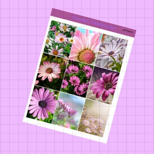 rosa Blumen - Komplettes Wochenset, vertikales Planer-Sticker-Set, funktionale Sticker, A La carte, Baue ein Kit