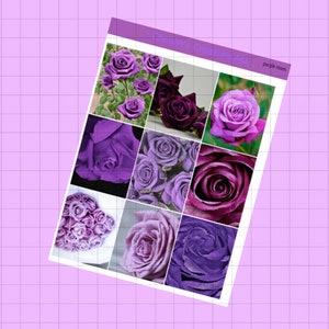 purple roses - Full Weekly Kit, Vertical Planner Sticker Kit, Functional Stickers, A La carte, Build a kit