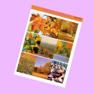 Hojas de otoño - Kit de vista semanal, Kit de planificación, Kit de pegatinas, Kit de pegatinas semanal, Planificador de nube, Planificador de inserciones, Kikki K, Planificador vertical